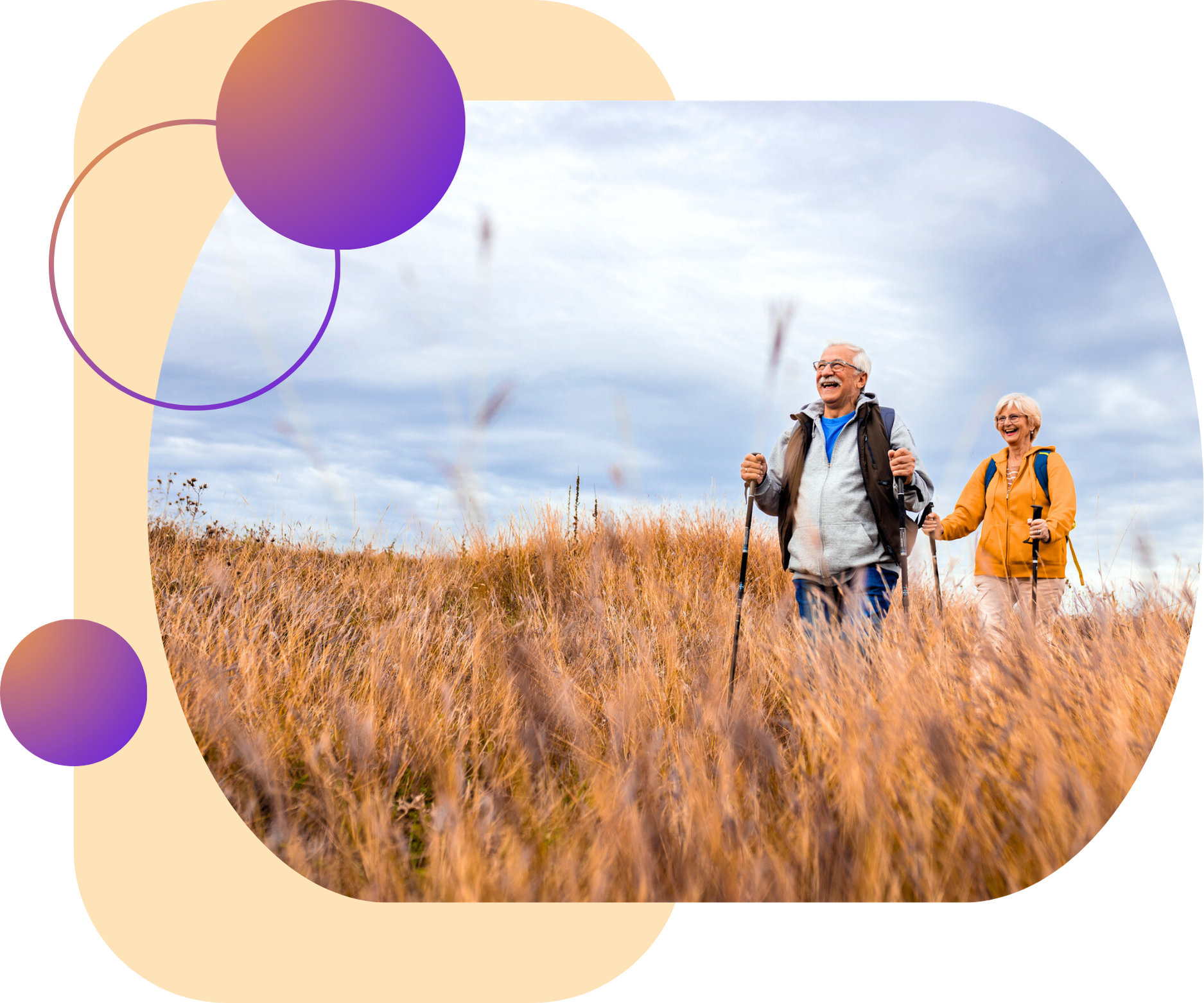 New Website Elements